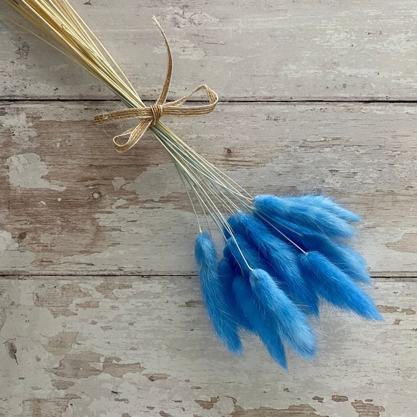 Blue bunny tails