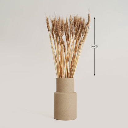 Wheat Grass Brown Set 25 Stems