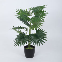 Artificial Palm Plant for Home Decor/Office Decor/Gifting | 12 Leaves | with Basic Black Pot | Natural Looking Indoor Plant (Green)