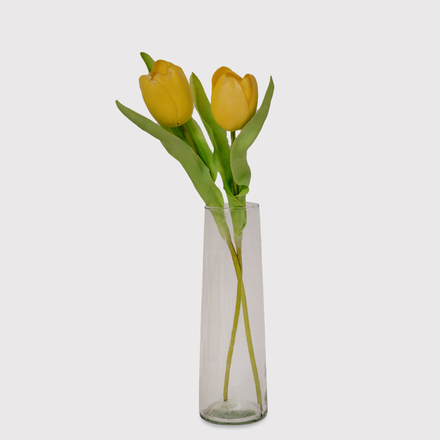 Celia Long Decorative Clear Glass Vase For Home Decor