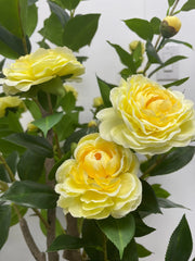 Beautiful Artificial Camellia Rose Flower Plant in a Pot for Interior Decor/Home Decor/Office Decor (160 cm Tall, Yellow)