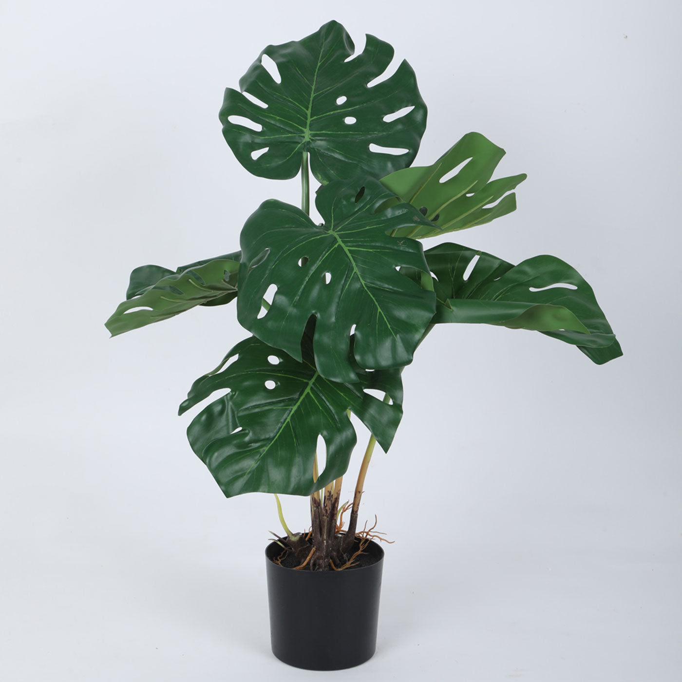 Artificial Real Touch Monstera Plant for Home Decor/Office Decor/Gifting | Natural Looking Indoor Plant (With Pot, 75 cm tall, Green)