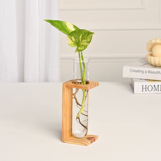 Test Tube Vase