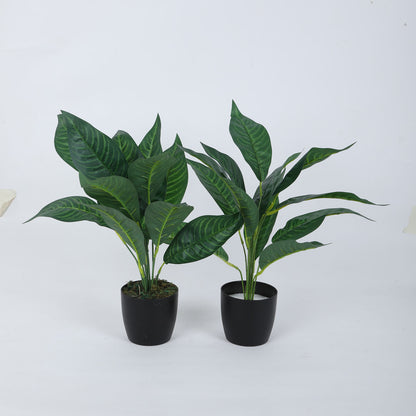 Beautiful Artificial Croton Plant Mini Bush Basic Black Pot for Interior Decor/Home Decor/Office Decor (50 cm Tall, Green, Pack of 2)