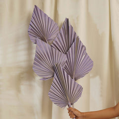Palm Spear Big Purple (SET OF 5)
