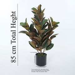 Artificial Real Touch Rubber Plant | Ornamental Plant for Interior Decor/Home Decor/Office Decor | with Basic Black Pot | 85 cm Short Indoor Tropical Plant | Durable