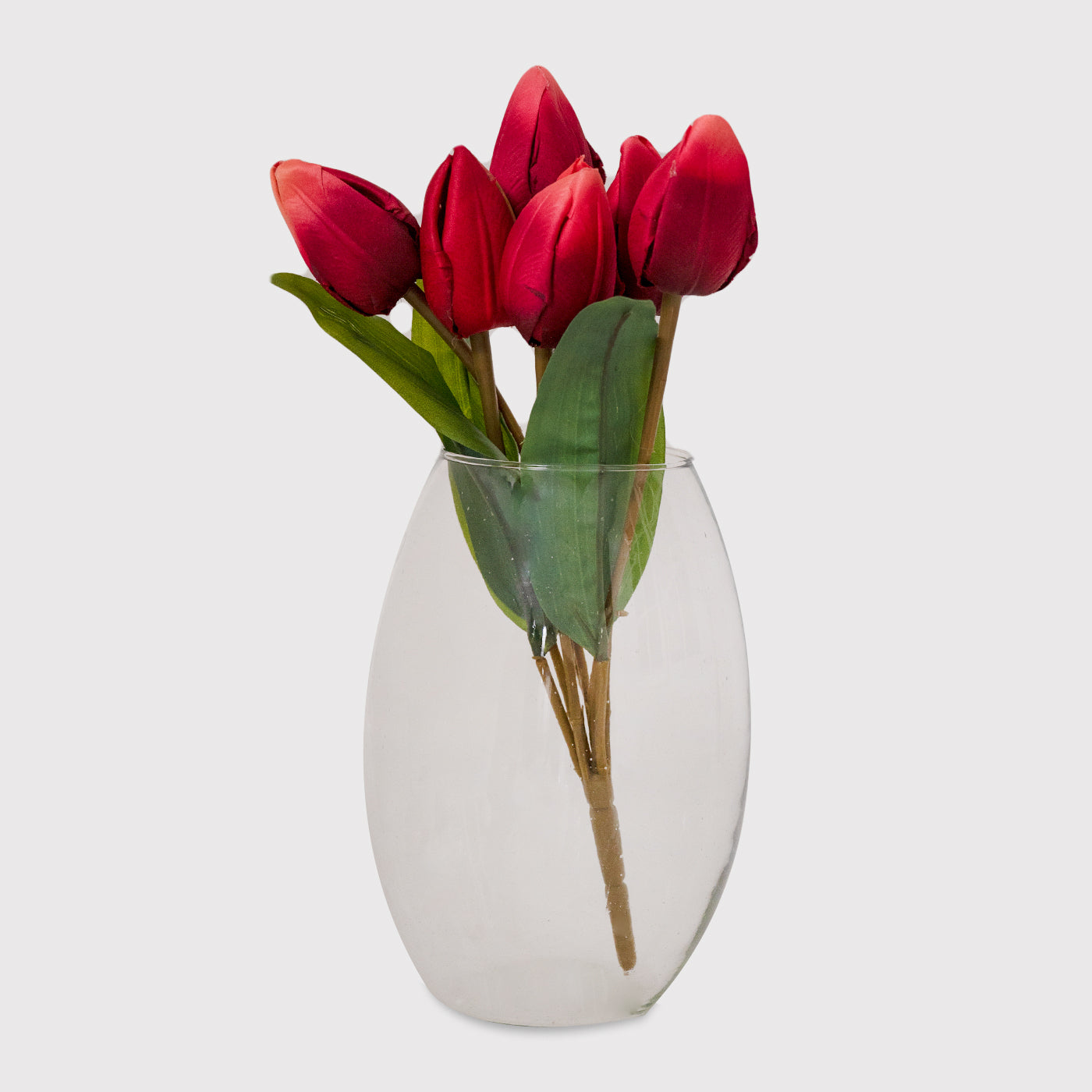 HYDRA Oval Shape Transparent Glass Flower Vase For Home Office Decor