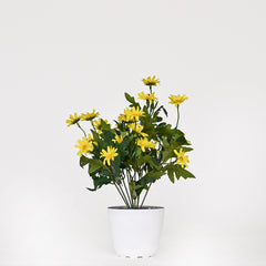 Set of 1 Artificial Plant & Flower Bush in Pot (Yellow)