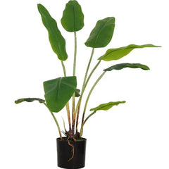Artificial Real Touch Bananan Plant in a Pot for Interior Decor/Home Decor/Office Decor (75 cm Tall, Green)