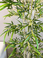 Beautiful Artificial Bamboo Plant in a Pot for Interior Decor/Home Decor/Office Decor (150 cm Tall, Green)