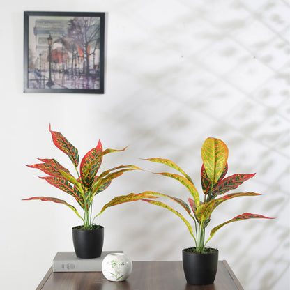 Beautiful Artificial Croton Plant Mini Bush Basic Black Pot for Interior Decor/Home Decor/Office Decor (50 cm Tall, Red, Pack of 2)