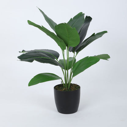 Beautiful Artificial Banana Plant Mini Bush Basic Black Pot for Interior Decor/Home Decor/Office Decor (55 cm Tall, Green, Pack of 2)