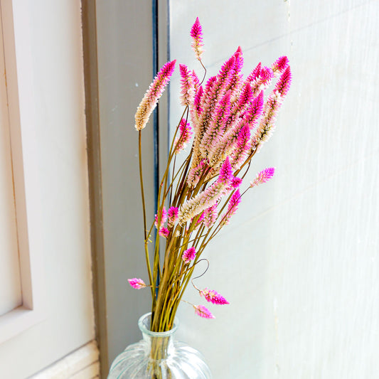 Flamingo Dried Flower Set of 25