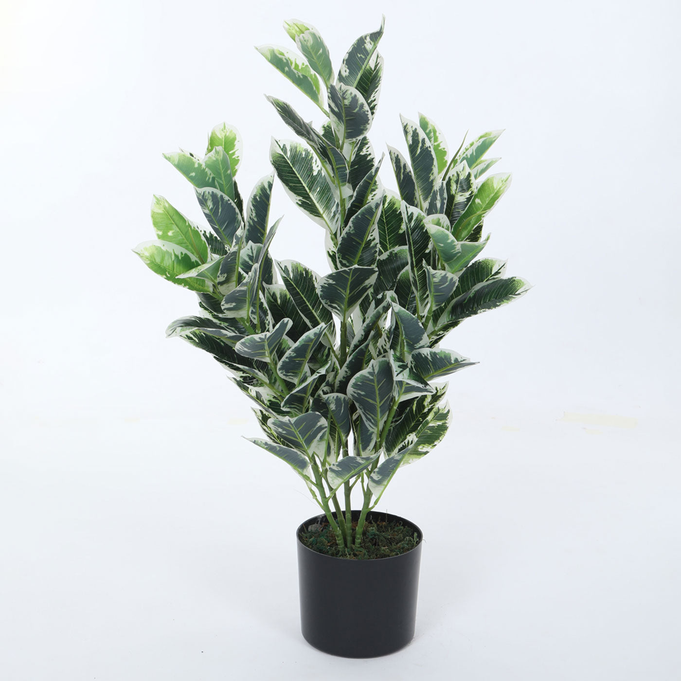 Artificial Real Touch Zebra Plant | Ornamental Plant for Interior Decor/Home Decor/Office Decor | with Basic Black Pot | 85 cm Short Indoor Tropical Plant | Durable