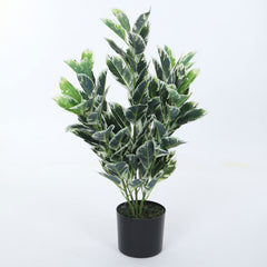 Artificial Real Touch Zebra Plant | Ornamental Plant for Interior Decor/Home Decor/Office Decor | with Basic Black Pot | 85 cm Short Indoor Tropical Plant | Durable