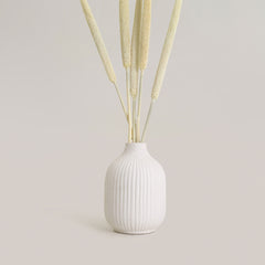 Ivory Vase Medium White