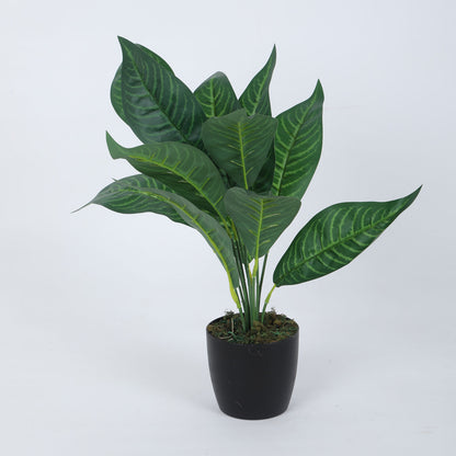 Beautiful Artificial Croton Plant Mini Bush Basic Black Pot for Interior Decor/Home Decor/Office Decor (50 cm Tall, Green, Pack of 2)