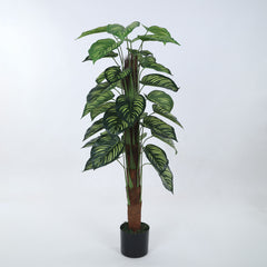 Beautiful Artificial PVC Silk Calatheas Plant with Big Leaves and for Home and Office Décor (With Pot, 120 cm Tall)
