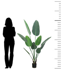 Artificial Real Touch Banana Plant in a Pot for Interior Decor/Home Decor/Office Decor (160 cm Tall, Green)