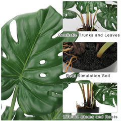 Artificial Real Touch Monstera Plant in a Black Pot for Interior Decor/Home Decor/Office Decor (75 cm Tall, Green, Set of 2)