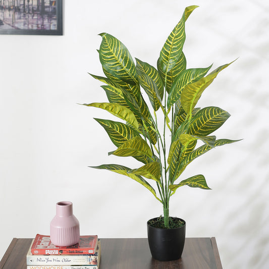 Artificial Croton Plant for Home Decor/Office Decor/Gifting | with Basic Black Pot | Natural Looking Indoor Plant (26 Leaves, 70 cm, Multicolor)