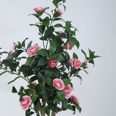 Beautiful Artificial Camellia Flower Plant in a Black Pot for Interior Decor/Home Decor/Office Decor (150 cm Tall, Pink)
