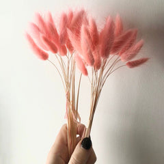 Pink Bunny Tails