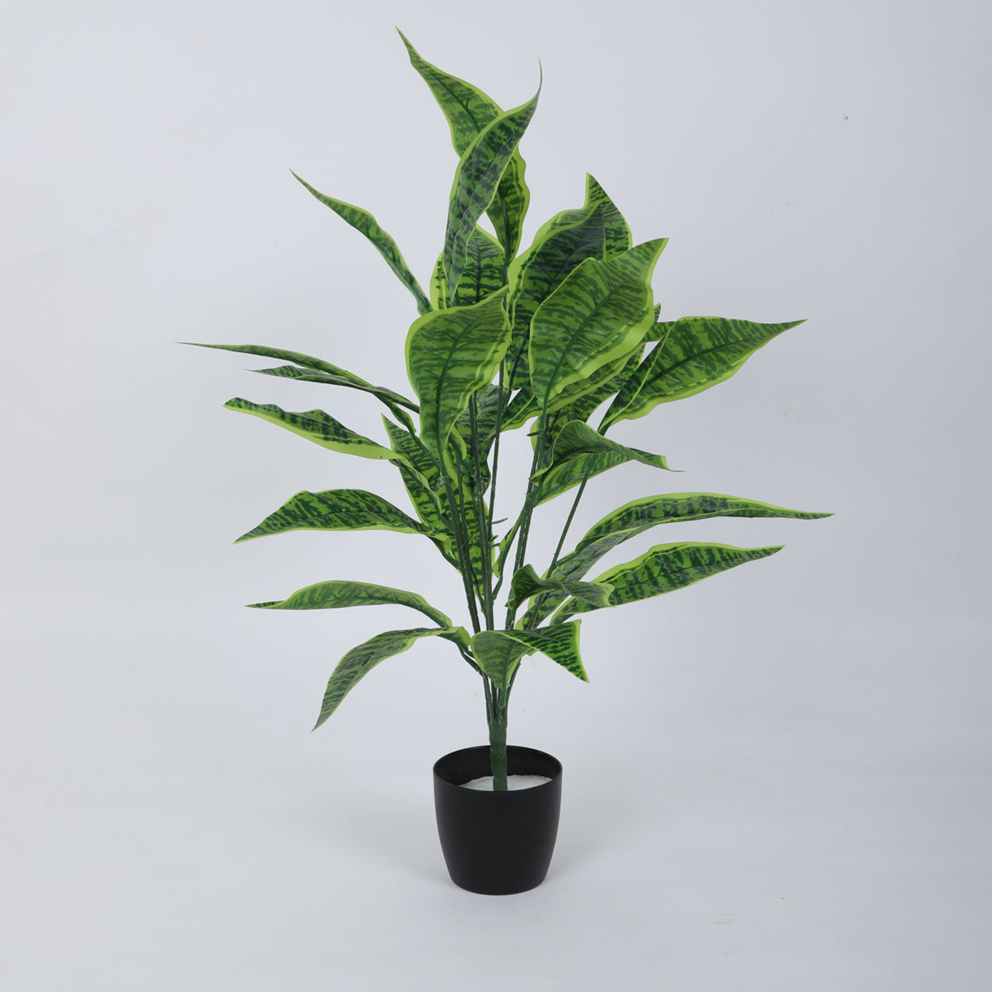 Artificial Snake Plant for Home Decor/Office Decor/Gifting | with Basic Black Pot | Natural Looking Indoor Plant (26 Leaves, 70 cm, Multicolor)