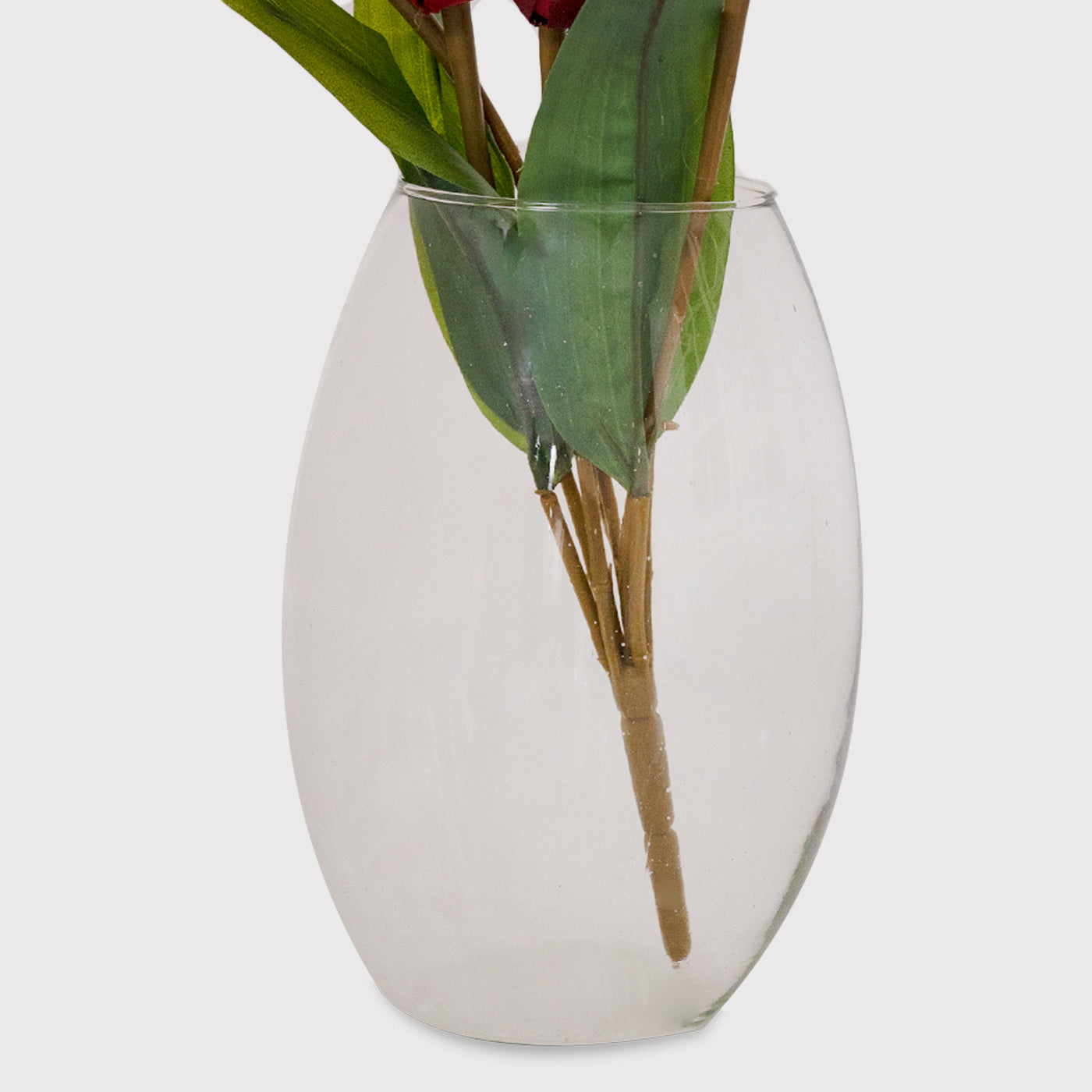 HYDRA Oval Shape Transparent Glass Flower Vase For Home Office Decor