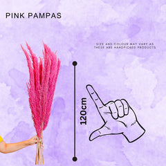 Pink Pampas