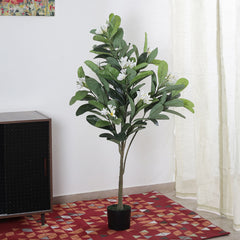 Artificial Green Frangipani Flowers Plant for Home Decor/Office Decor/Gifting | Natural Looking Indoor Plant (With Pot, 120 cm)