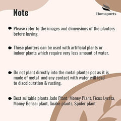 Designer Meena Metal TableTop Planter (Set of 3)