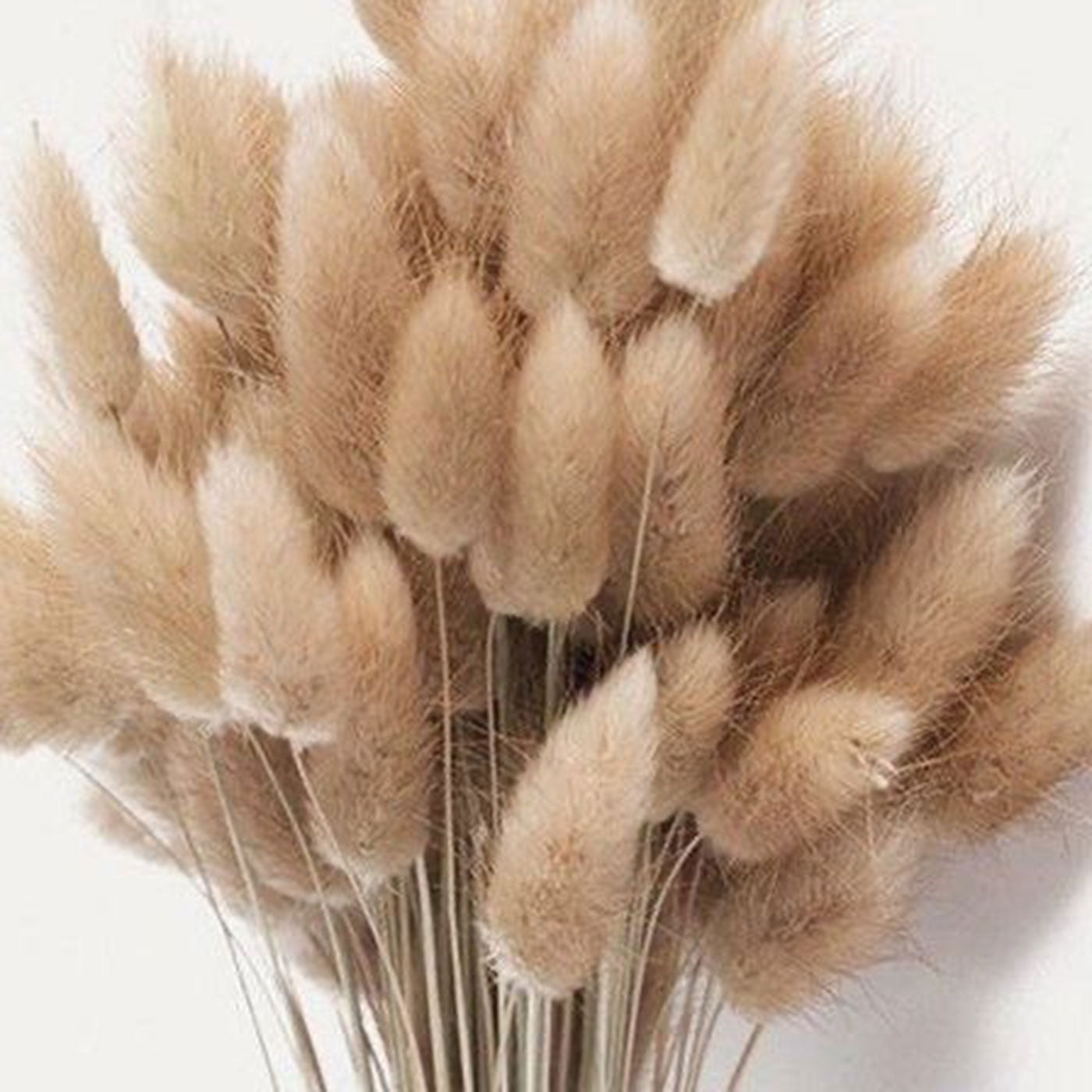 Brown Natural Bunny Tails