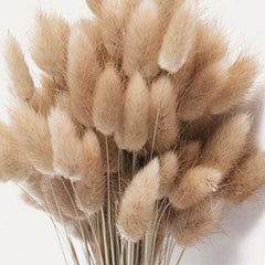 Brown Natural Bunny Tails