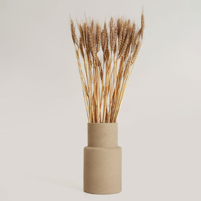 Wheat Grass Brown Set 25 Stems