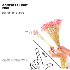 Gomphera Light pink-set of 25 stems