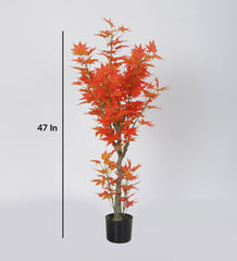 Beautiful Artificial Maple Plant in a Black Pot for Interior Decor/Home Decor/Office Decor (180 cm Tall, Orange)