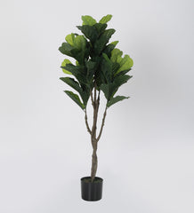 Artificial Fiddle Leaf Fig Plants | Tree for Home Decoration | Living Room | Office Big/Medium Size with Pot (120 cm Tall, Green)