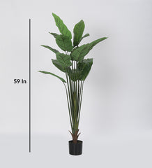 Artificial Real Touch Rubber Plant in a Black Pot for Interior Decor/Home Decor/Office Decor (150 cm Tall, Green)