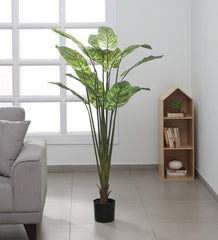 Artificial Real Touch Rubber Plant in a Black Pot for Interior Decor/Home Decor/Office Decor (150 cm Tall, White)