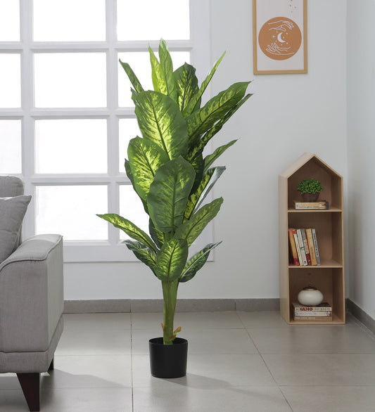 Artificial Dieffenbachia Plant | Tree for Home Decoration | Living Room | Office Big/Medium Size without Pot (150 cm Tall, Green)