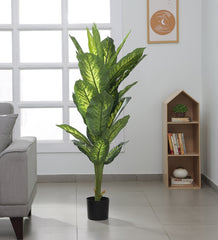 Artificial Dieffenbachia Plant | Tree for Home Decoration | Living Room | Office Big/Medium Size without Pot (150 cm Tall, Green)