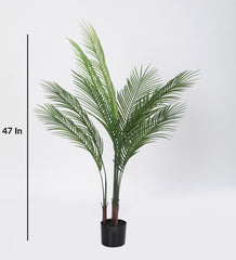 Artificial Areca Palm Potted Plant | Tree for Home Decoration | Living Room | Office Big/Medium Size with Pot (120 cm Tall, Green)