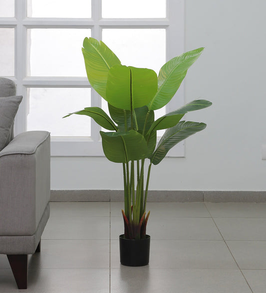 Artificial Real Touch Banana Plant in a Pot for Interior Decor/Home Decor/Office Decor (120 cm Tall, Green)