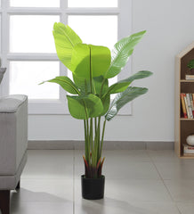 Artificial Real Touch Banana Plant in a Pot for Interior Decor/Home Decor/Office Decor (150 cm Tall, Green)