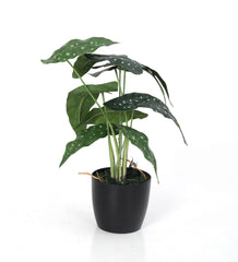 Artificial Begonia Maculata Plant for Home Garden Outdoor Indoor Decoration (9 Leaves, with Pot, 45 cm Tall)