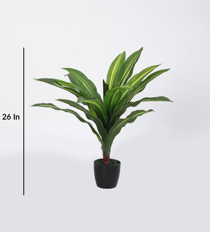 Decorative Real Touch Artificial Dracaena Plants for Home Garden Outdoor Indoor Decoration (with Pot, 65 cm Tall, Green)