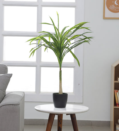 Decorative Real Touch Artificial Dracaena Plants for Home Garden Outdoor Indoor Decoration (with Pot, 80 cm Tall, Green)