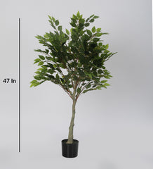 Artificial Ficus Plants | Tree for Home Decoration | Living Room | Office Big/Medium Size with Pot (120 cm Tall, Green)