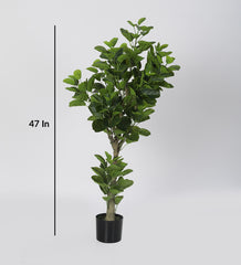 Artificial Green Gimgko Plants | Tree for Home Decoration | Living Room | Office Big/Medium Size with Pot (120 cm Tall, Green)